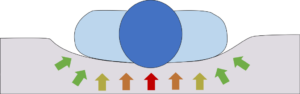 omslutning1